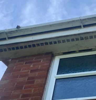 Local Window Cleaner